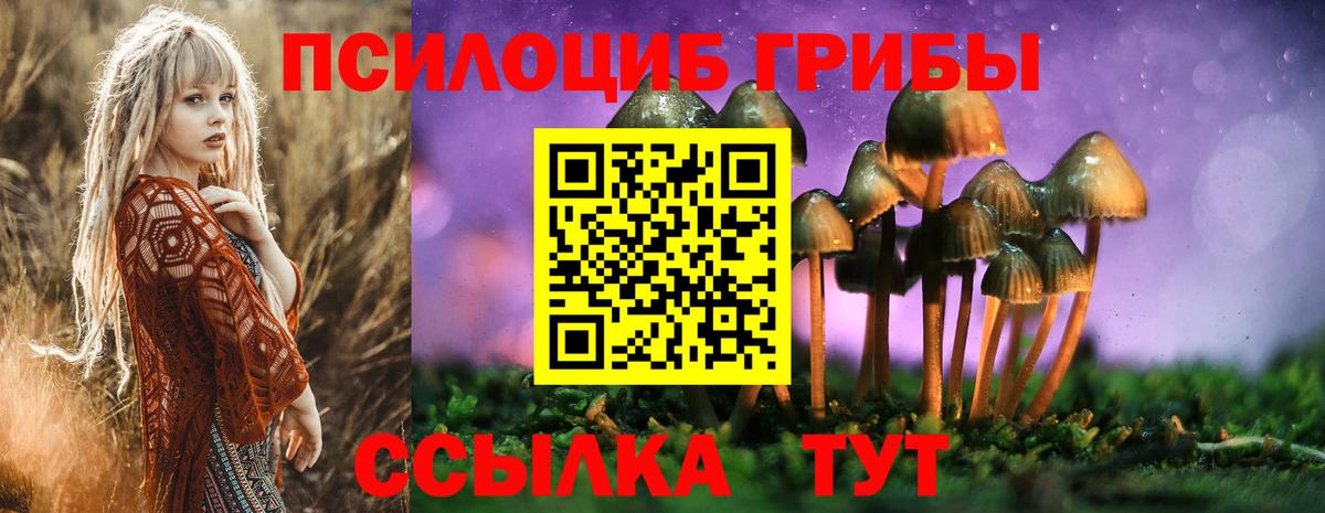 Псилоцибиновые грибы Magic Shrooms  Вход с VPN  Краснознаменск 